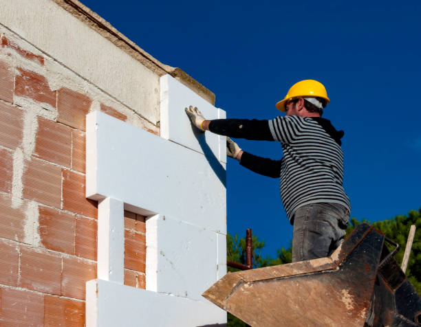 Best Insulation Installation Services in Ely, MN