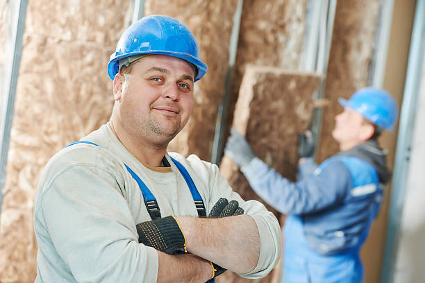Best Types of Insulation in Ely, MN