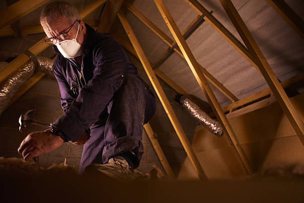 Best Specialty Insulation in Ely, MN